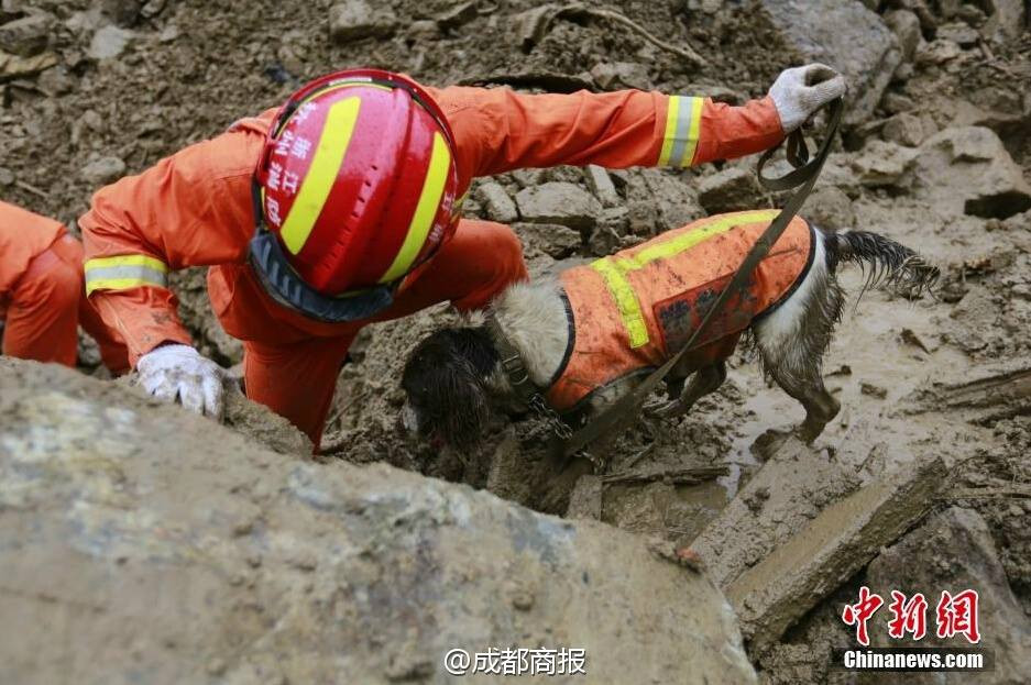 Tính đến thời điểm hiện tại đã có 26 người chết và 11 người khác vẫn mất tích. (Nguồn: Chinanews)