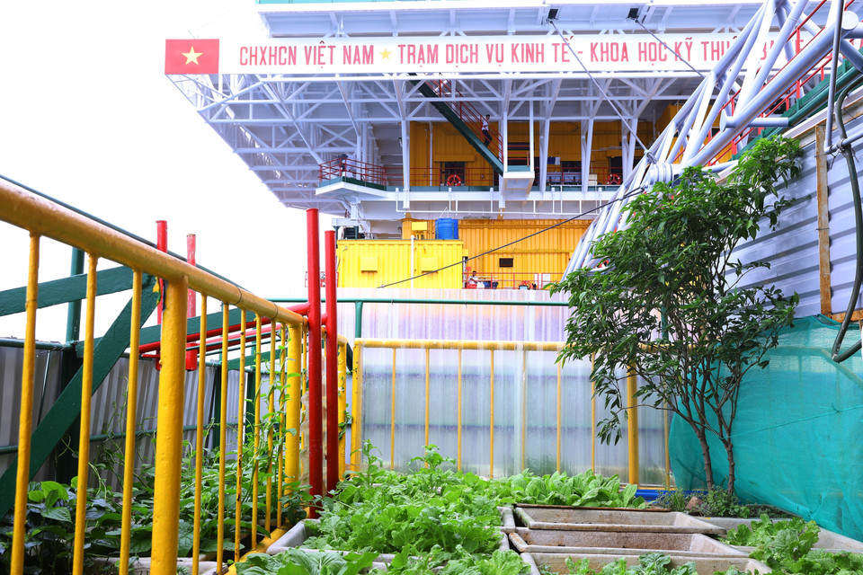 Vườn rau xanh mướt trên nóc nhà giàn DK1/9, vừa tạo cảnh quan xanh, vừa bổ sung nguồn thực phẩm cho cán bộ, chiến sỹ. (Ảnh: Văn Điệp/TTXVN)