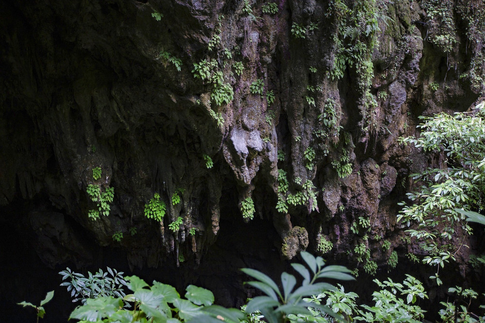 Vẻ đẹp nguyên vẹn từ các thạch nhũ phía trước cửa Hang Sưng. (Ảnh: Trọng Đạt/TTXVN)