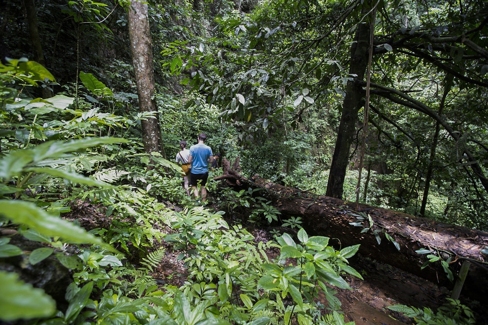 Hệ sinh thái trên lối đi vào hang Sưng. (Ảnh: Trọng Đạt/TTXVN)