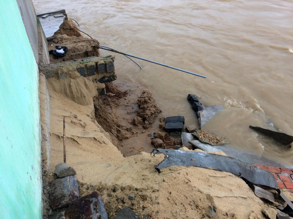  (Ảnh: Phước Ngọc/TTXVN)