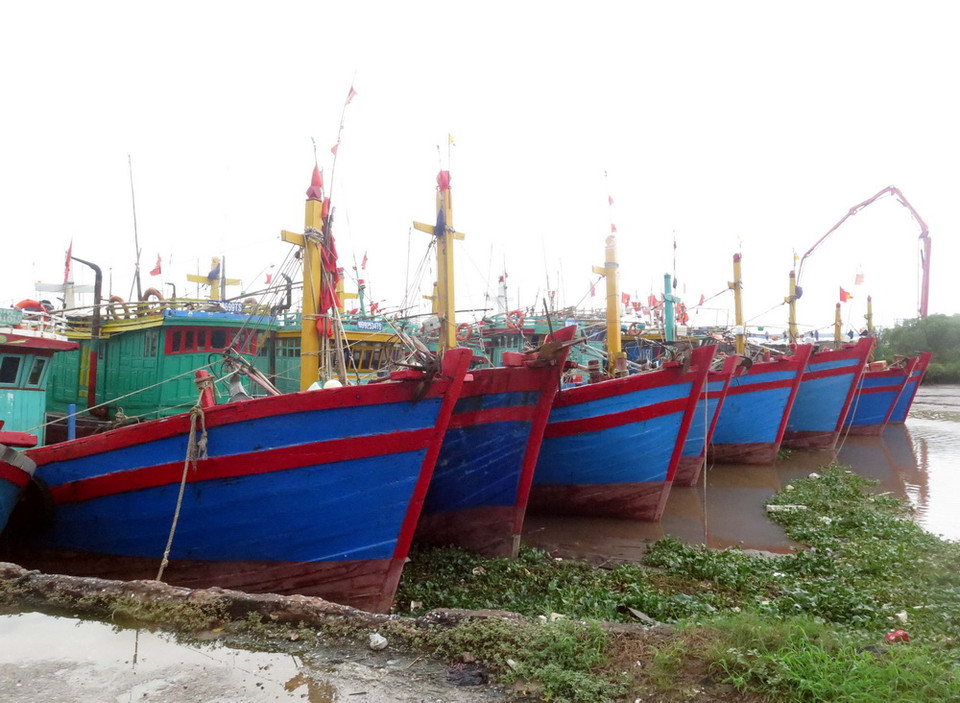 Tàu thuyền neo đậu tại Khu Tránh trú bão ở thị trấn Thịnh Long, huyện Hải Hậu. (Ảnh: Văn Đạt/TTXVN)