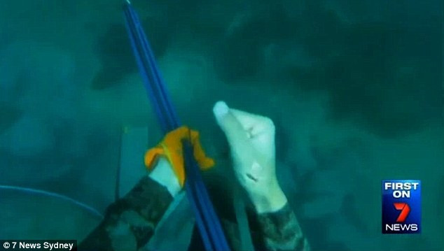 Smith may mắn thoát chết. (Nguồn: 7 News Sydney)