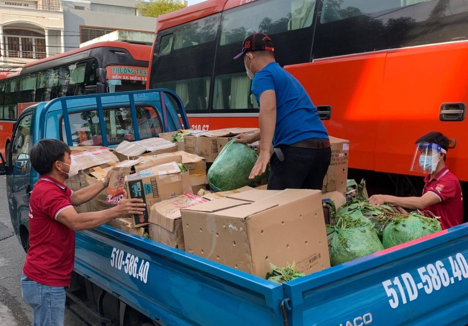 Những chuyến xe đầy ắp rau xanh được người dân Phú Yên chuẩn bị tặng người dân Thành phố Hồ Chí Minh. (Ảnh: Phạm Cường/TTXVN)