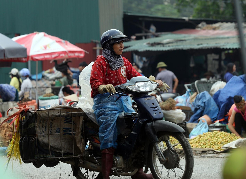 Những người phụ nữ vất vả mưu sinh để kiếm thêm thu nhập cho gia đình. (Ảnh: Phan Tuấn Anh/TTXVN)