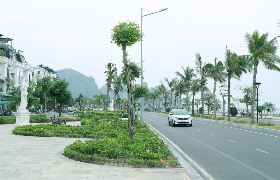 Khuôn viên, cảnh quan vỉa hè dọc tuyến đường. (Ảnh: Quốc Khánh/TTXVN)