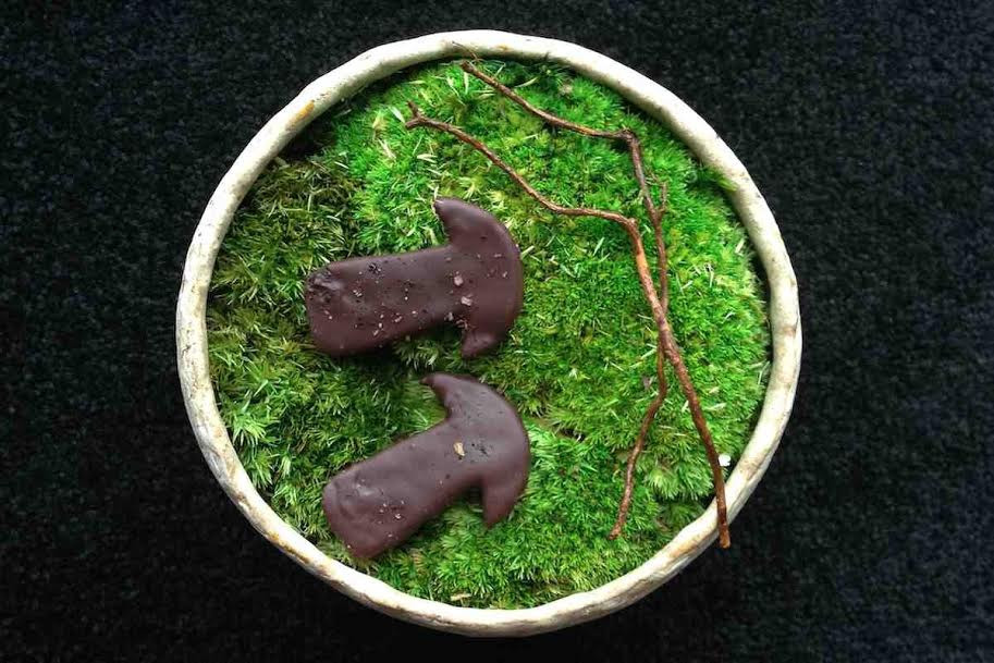 Quế dại và nấm hương lên men.