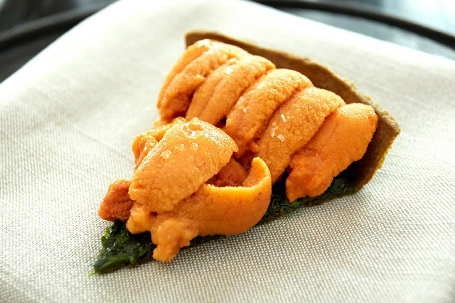 Nhím biển và quả Kiwi dại