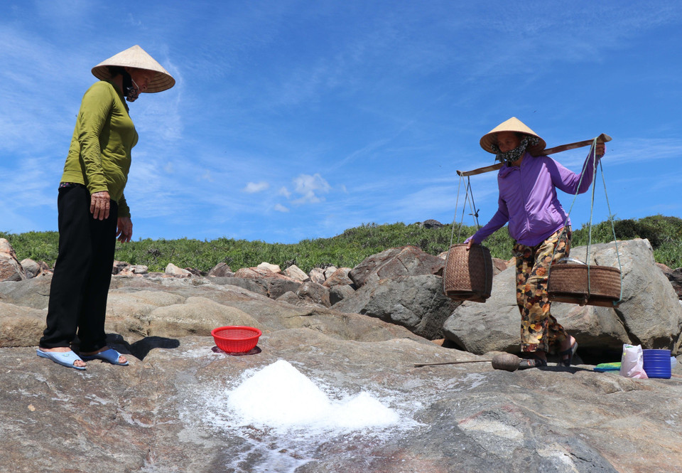 Người dân xóm Cỏ thu hoạch muối. (Ảnh: Phạm Cường/TTXVN)