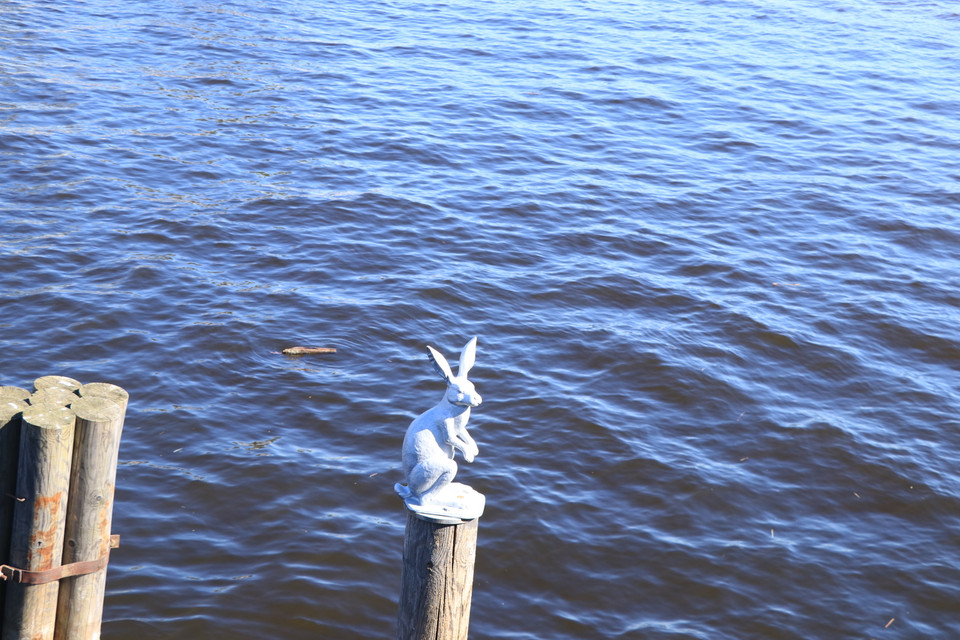 Đảo Thỏ là một nơi vô cùng nổi tiếng của thành phố Saint Petersburg. (Ảnh: Hùng Võ/Vietnam+)