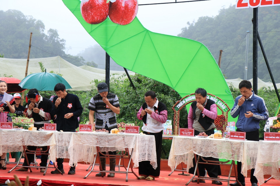 Các đội tham gia phần thi ăn mận nhanh. (Ảnh: Hữu Quyết/TTXVN)