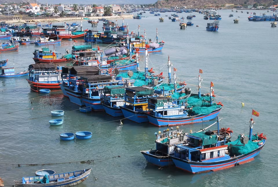Xác định khai thác hải sản là một trong những ngành quan trọng trong phát triển kinh tế biển, Ninh Thuận đã và đang tập trung phát triển nghề cá theo hướng hiện đại, bền vững. Trong ảnh: Tàu cá của ngư dân neo đậu tại Đầm Nại (huyện Ninh Hải). (Ảnh: Nguyễn Thành/TTXVN)