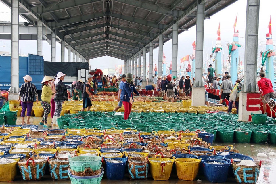 5 năm trở lại đây, Ninh Thuận đã có bước phát triển đột phá trong nhiều lĩnh vực. Tốc độ tăng GRDP bình quân đạt 10,2%/năm; GRDP bình quân đạt 60,1 triệu đồng/người, tăng 2,17 lần so với năm 2015. Trong ảnh: Hoạt động mua, bán tấp nập tại cảng cá Cà Ná, huyện Thuận Nam. (Ảnh: Công Thử/TTXVN)