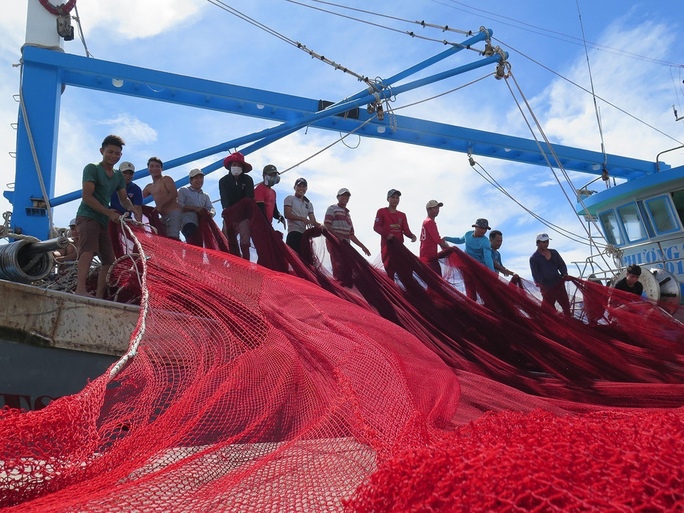 5 năm trở lại đây, Ninh Thuận đã có bước phát triển đột phá trong nhiều lĩnh vực. Tốc độ tăng GRDP bình quân đạt 10,2%/năm; GRDP bình quân đạt 60,1 triệu đồng/người, tăng 2,17 lần so với năm 2015. Trong ảnh: Ngư dân đưa lưới mới lên tàu cá tại cảng cá Mỹ Tân, xã Thanh Hải, huyện Ninh Hải, chuẩn bị cho chuyến ra khơi đánh bắt hải sản xa bờ. (Ảnh: Minh Hưng/TTXVN)