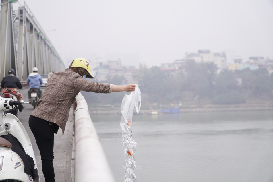 Theo phong tục, hàng năm cứ đến ngày 23 tháng Chạp, người dân lại làm lễ cúng và thả cá chép để tiễn ông Táo về chầu Trời. (Ảnh: PV/Vietnam+)