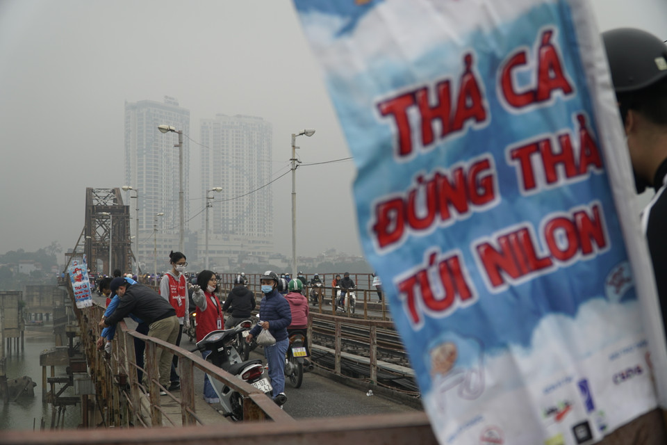 Tại khu vực cầu Long Biên, nhiều bạn tình nguyện viên giúp người dân thả cá an toàn. (Ảnh: PV/Vietnam+)