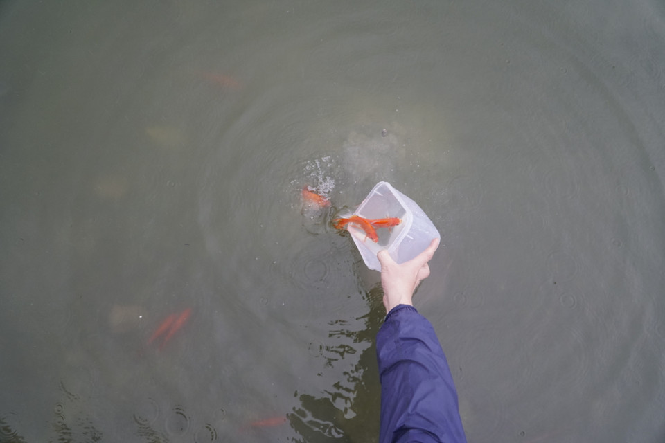 (Ảnh: PV/Vietnam+)