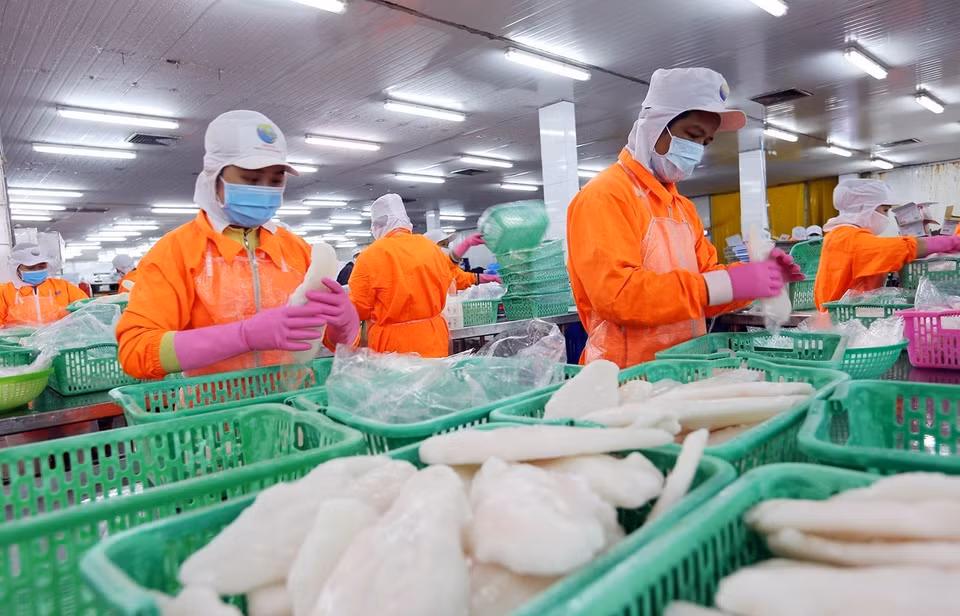 Giá trị sản xuất công nghiệp, thương mại, dịch vụ và xuất khẩu trong các khu công nghiệp và khu chế xuất của Cần Thơ chiếm tỷ trọng lớn trong tổng giá trị sản xuất công nghiệp toàn thành phố. Trong ảnh: Chế biến thủy sản xuất khẩu tại Công ty TNHH MTV Ấn Độ Dương tại Khu công nghiệp Thốt Nốt (Cần Thơ). (Ảnh: Danh Lam/TTXVN)