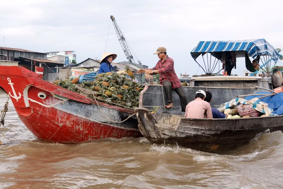 Năm 2016, Chợ nổi Cái Răng được công nhận là Di sản Văn hóa phi vật thể quốc gia, trở thành biểu tượng du lịch đặc trưng của thành phố Cần Thơ. (Ảnh: Thanh Vũ/TTXVN)