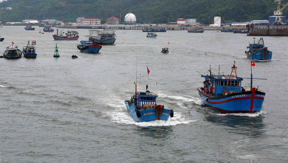Các phương tiện tàu thuyền di chuyển về nơi neo đậu an toàn tại Âu thuyền Thọ Quang (Đà Nẵng). (Ảnh: Trần Lê Lâm/TTXVN)