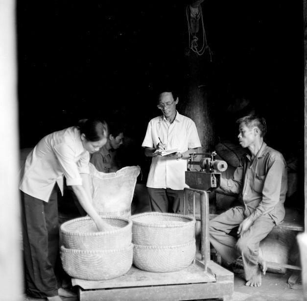 So với Chỉ thị 100 thì Nghị quyết 10 của Bộ Chính trị đã có một bước đột phá trong tư duy quản lý kinh tế khi lần đầu tiên thừa nhận hộ gia đình là đơn vị kinh tế tự chủ khi người nông dân được trao quyền sử dụng đất và mức khoán lâu dài. (Ảnh: Đình Na/TTXVN)