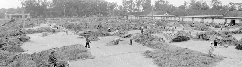 Chỉ sau một năm ban hành Nghị quyết 10, từ một nước thiếu lương thực triền miên, đến năm 1989, sản lượng lúc gạo đạt con số 21,5 triệu tấn và lần đầu tiên Việt Nam xuất khẩu được 1,2 triệu tấn lúa gạo. Trong ảnh: Thực hiện khoán gọn theo đơn giá, vụ mùa năm 1988, HTX Nhân Khang, huyện Lý Nhân, tỉnh Hà Nam Ninh thu hoạch lúa đạt năng suất 42 tạ/ha, đưa năng suất cả năm lên 92,5 tạ/ha. (Ảnh: Thế Thuần/TTXVN)