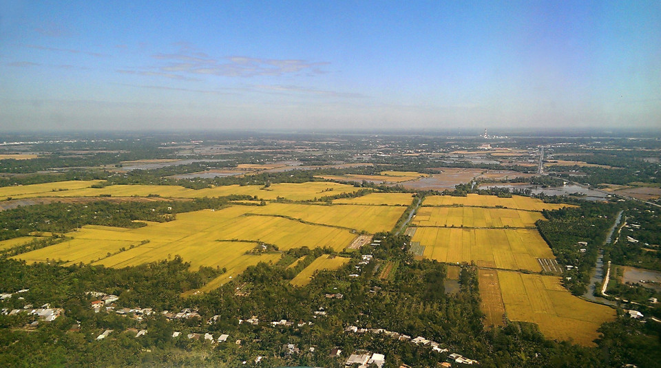 Năm 1990, chỉ sau 2 năm áp dụng Nghị quyết 10, nông nghiệp Việt Nam đã có sự thay đổi kỳ diệu. Lần đầu tiên nước ta đã không phải nhập khẩu để cứu đói. Và năm 1991, Việt Nam đã chủ động xuất khẩu được gạo và đến nay là nước đứng thứ hai thế giới về xuất khẩu gạo. Trong ảnh: 'Cánh đồng lớn' - mô hình kiểu mẫu phát triển nông nghiệp nông nghệ cao ở An Giang trong vùng tứ giác Long Xuyên - vựa lúa của cả nước. (Ảnh: Phạm Hậu/TTXVN)