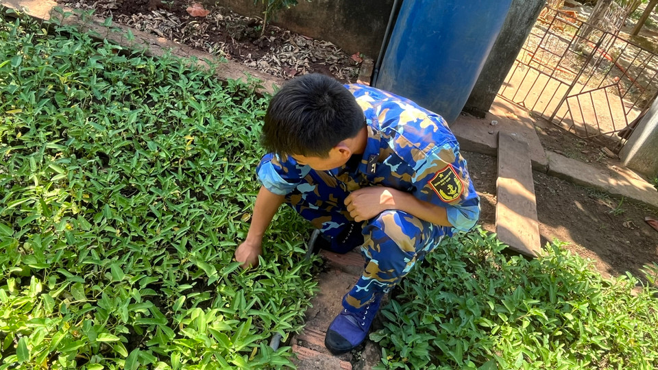 Để có luống rau xanh, các chiến sỹ chuyên cần chăm sóc bón phân, tưới nước, đuổi bắt côn trùng, ong, sâu... (Ảnh: Hạnh Nguyễn/Vietnam+)