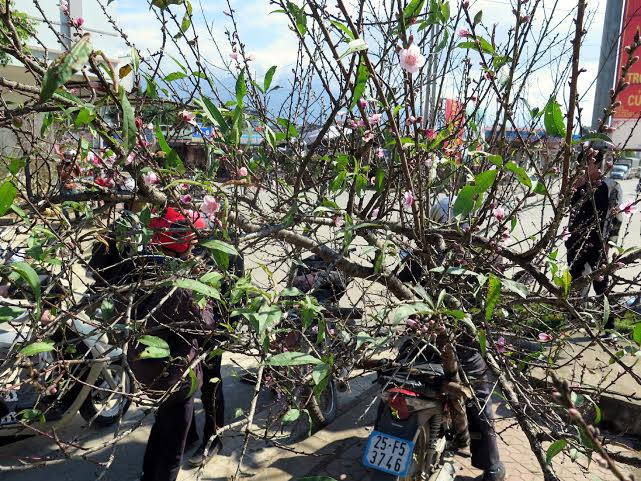 (Ảnh: Hải Sơn/Vietnam+)