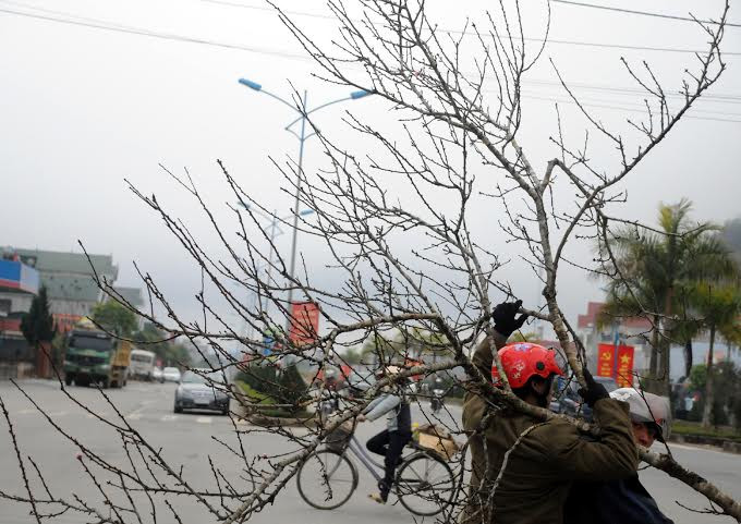 (Ảnh: Hải Sơn/Vietnam+)