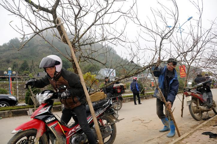 (Ảnh: Hải Sơn/Vietnam+)