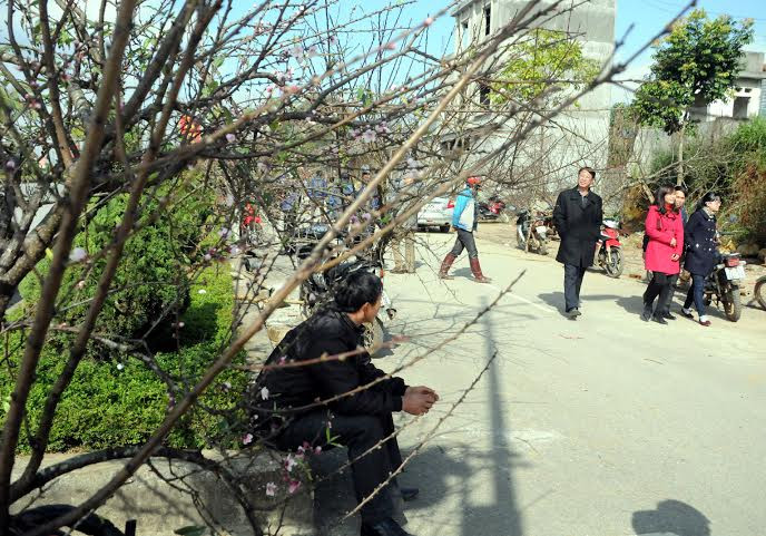 (Ảnh: Hải Sơn/Vietnam+)