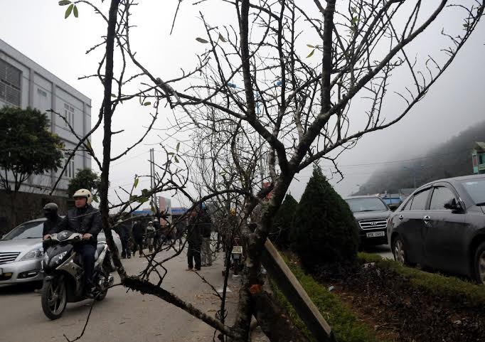 (Ảnh: Hải Sơn/Vietnam+)