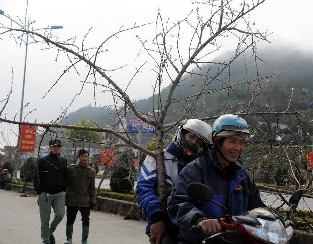 (Ảnh: Hải Sơn/Vietnam+)