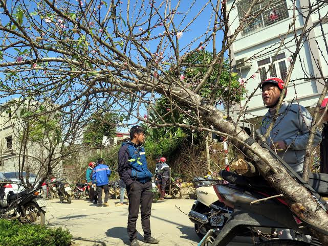 (Ảnh: Hải Sơn/Vietnam+)