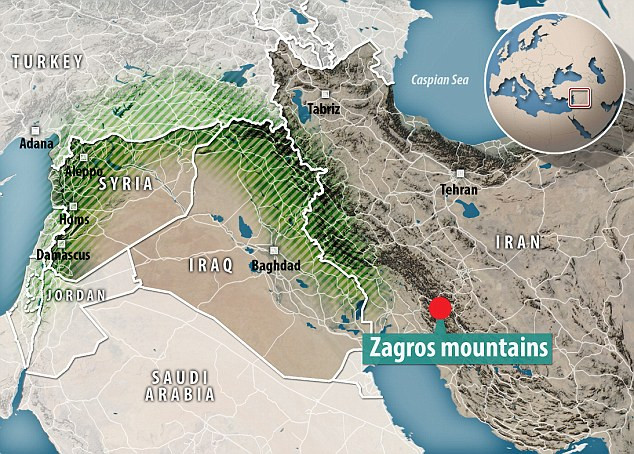 Theo lực lượng cứu hộ khẩn cấp quốc gia Iran, một trực thăng của lực lượng này đã được điều đến hiện trường song không thể hạ cánh do thời tiết quá xấu.