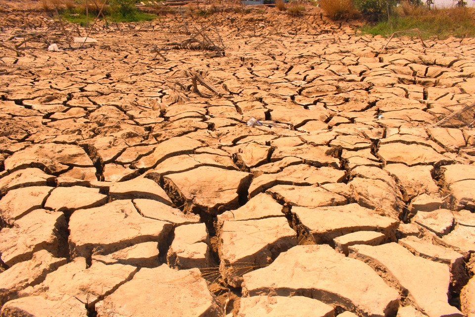  Tại huyện Giá Rai, tỉnh Bạc Liêu, do nắng nóng kéo dài nên nhiều vùng đất đai cũng đã bị nứt nẻ, khô khốc. (Ảnh: Hùng Võ/Vietnam+)