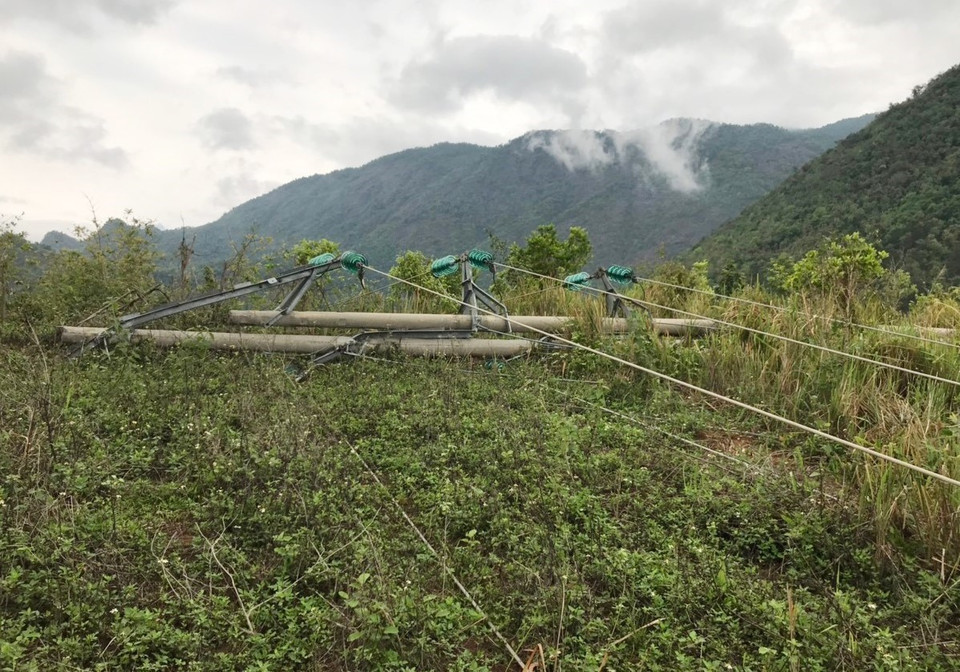 Mưa dông làm nhiều cột điện trung thế tại huyện Mường La (Sơn La) bị gãy đổ. (Nguồn: TTXVN)