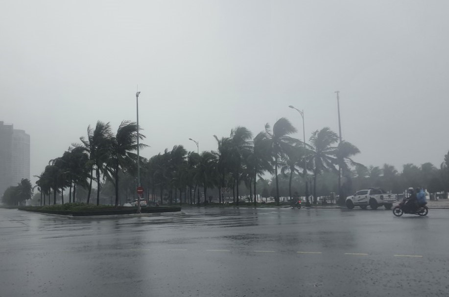 Trên một số tuyến đường đã xuất hiện cây đổ, gãy, nước ngập úng cục bộ. (Ảnh: Văn Dũng/TTXVN)