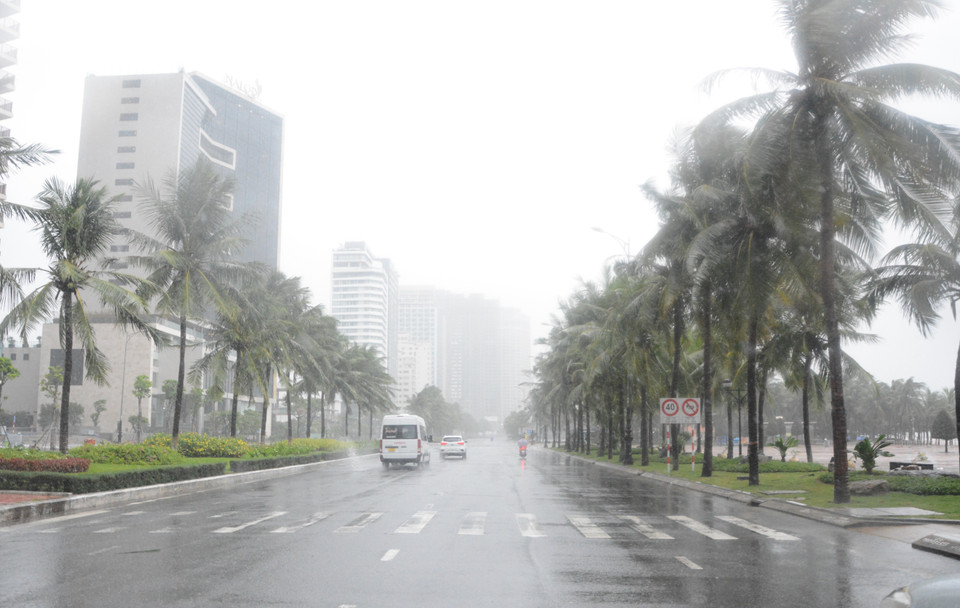 Theo ghi nhận của phóng viên TTXVN tại Đà Nẵng, hiện đường phố rất vắng, phần lớn người dân đã hoàn thành việc chằng chống nhà cửa và ở yên trong nhà. (Ảnh: Văn Dũng/TTXVN)