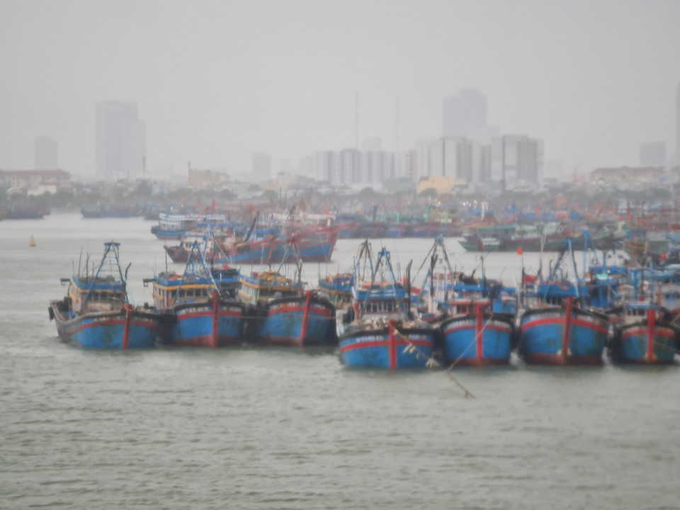 Tàu thuyền neo đậu tại âu thuyền Thọ Quang (quận Sơn Trà).(Ảnh: Văn Dũng/TTXVN)