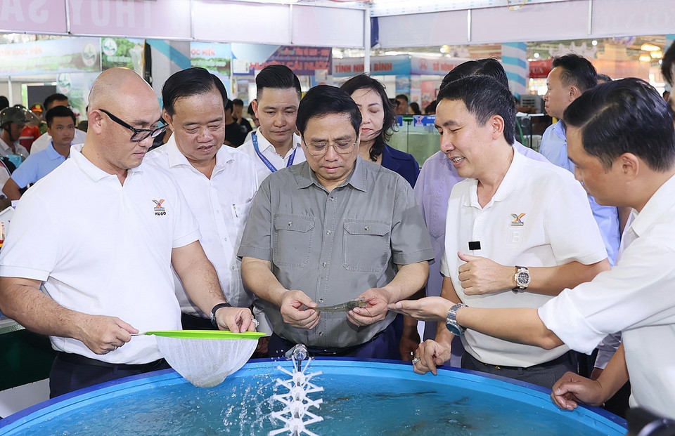 Thủ tướng Phạm Minh Chính tham quan gian trưng bày sản phẩm nuôi và chế biến tôm tại Festival tôm Cà Mau 2023. (Ảnh: Dương Giang/TTXVN)