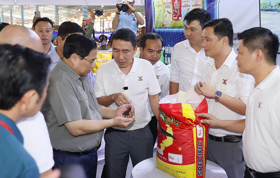 Thủ tướng Phạm Minh Chính tham quan gian trưng bày sản phẩm nuôi và chế biến tôm tại Festival tôm Cà Mau 2023. (Ảnh: Dương Giang/TTXVN)