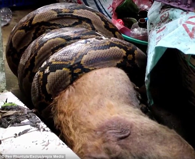 Khiewwan cho biết, cô tỉnh dậy vào lúc 3 giờ sáng sau khi nghe thấy tiếng động lớn ở dưới nhà. (Nguồn: Daily Mail)