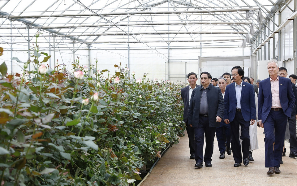 Thủ tướng Phạm Minh Chính đến thăm Công ty trồng hoa Dalat Hasfarm. (Ảnh: Dương Giang/TTXVN)