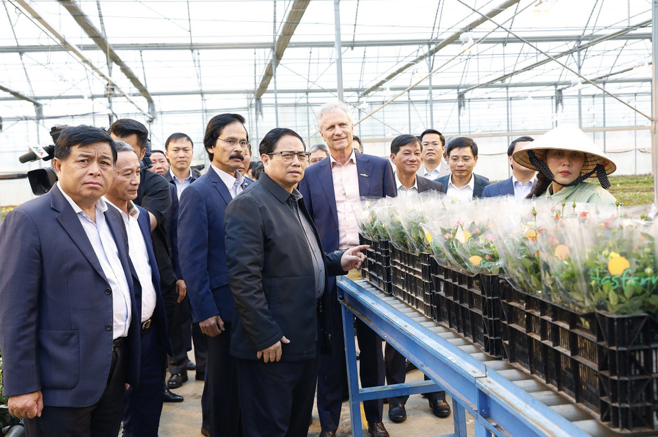 Thủ tướng Phạm Minh Chính đến thăm Công ty trồng hoa Dalat Hasfarm. (Ảnh: Dương Giang/TTXVN)