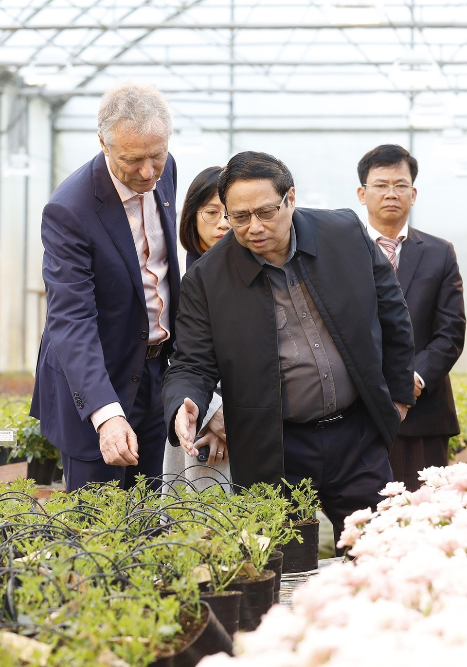 Thủ tướng Phạm Minh Chính đến thăm Công ty trồng hoa Dalat Hasfarm. (Ảnh: Dương Giang/TTXVN)