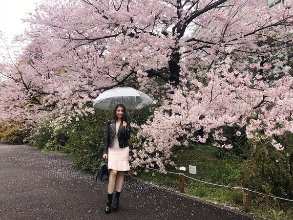 Nữ khách du lịch Việt Nam duyên dáng yêu kiều trên muôn cánh đào dưới mưa bay (Ảnh: CTV)