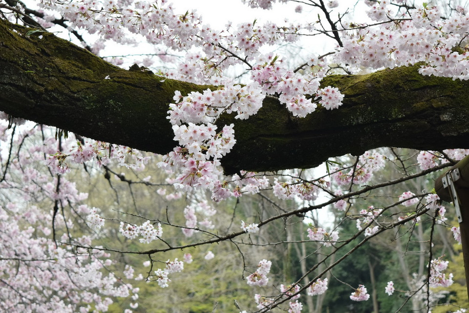 (Ảnh: Nguyễn Tuyến/Vietnam+)