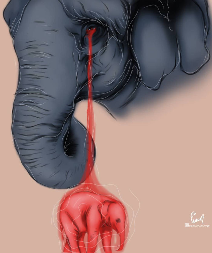 Voi mẹ đã chết đứng khi ngâm mình dưới dòng sông để làm dịu vết thương đau đớn ở miệng. (Nguồn: Boredpanda.com)